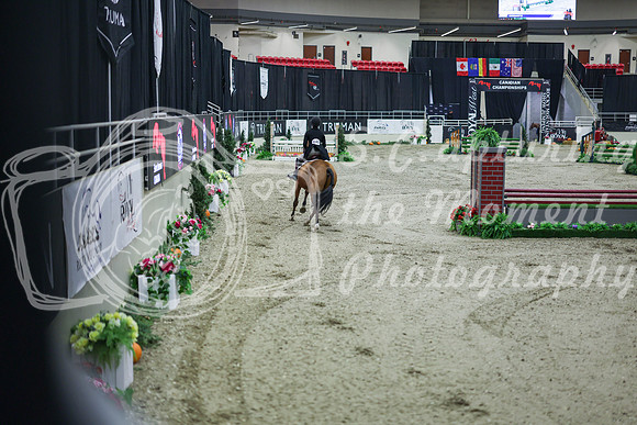 2025 - Shea - Royal West - Monday October 20th - 08008