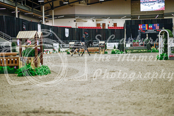 2025 - Haylee - Royal West - Monday October 20th - 02479