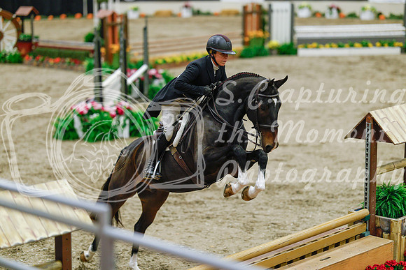 2025 - Haylee - Royal West - Monday October 20th - 05084
