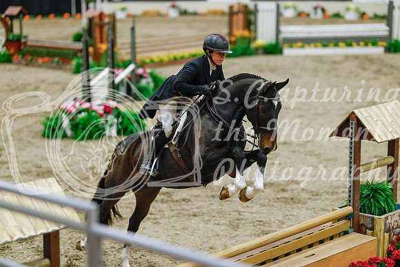 2025 - Haylee - Royal West - Monday October 20th - 05085