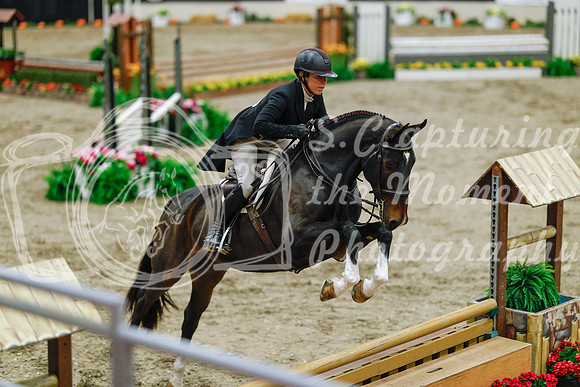 2025 - Haylee - Royal West - Monday October 20th - 05086