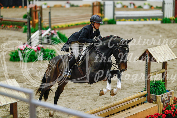 2025 - Haylee - Royal West - Monday October 20th - 05087