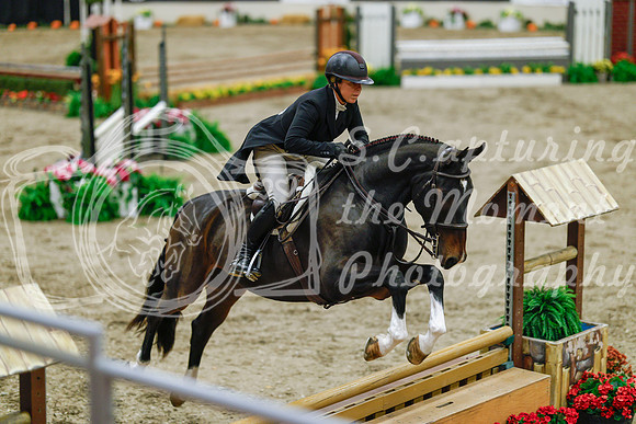 2025 - Haylee - Royal West - Monday October 20th - 05088