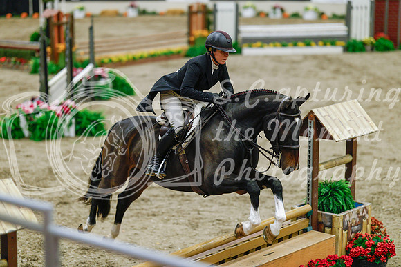 2025 - Haylee - Royal West - Monday October 20th - 05089