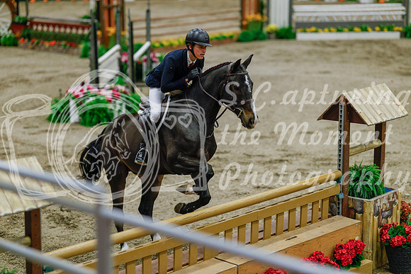 2025 - Haylee - Royal West - Monday October 20th - 06995