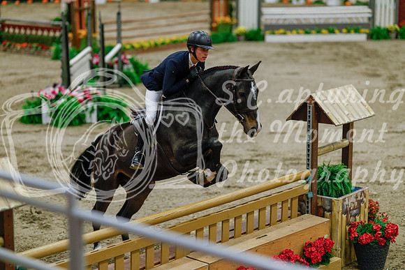 2025 - Haylee - Royal West - Monday October 20th - 06998