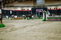 2025 - Haylee - Royal West - Monday October 20th - 02875