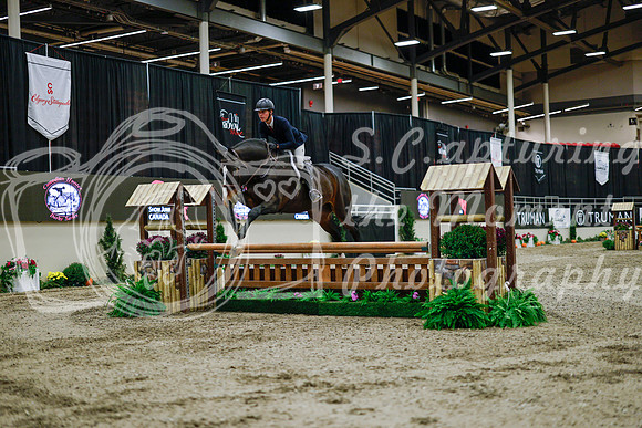 2025 - Haylee - Royal West - Monday October 20th - 02893