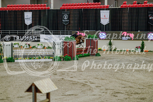 2025 - Haylee - Royal West - Monday October 20th - 06815