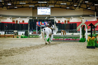 2025 - Haylee - Royal West - Monday October 20th - 01552