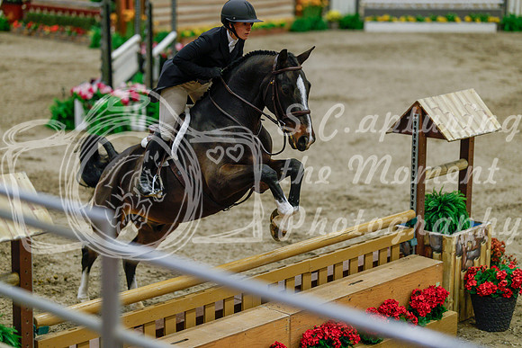 2025 - Haylee - Royal West - Monday October 20th - 06132