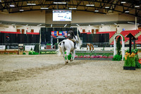 2025 - Haylee - Royal West - Monday October 20th - 01553