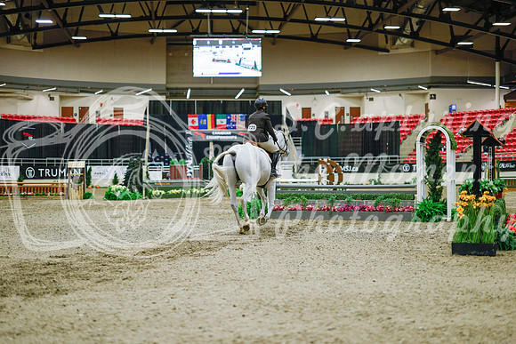 2025 - Haylee - Royal West - Monday October 20th - 01553