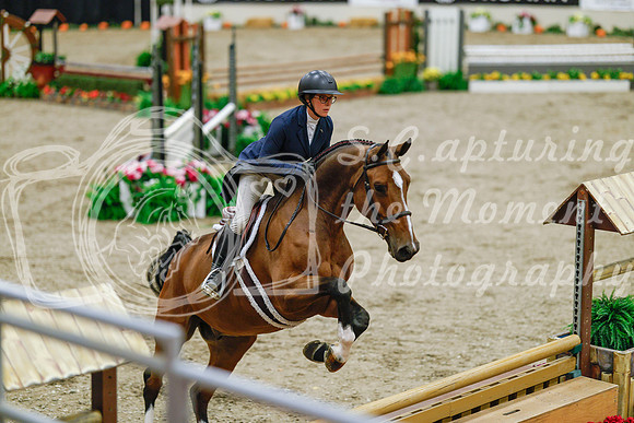 2025 - Haylee - Royal West - Monday October 20th - 04615