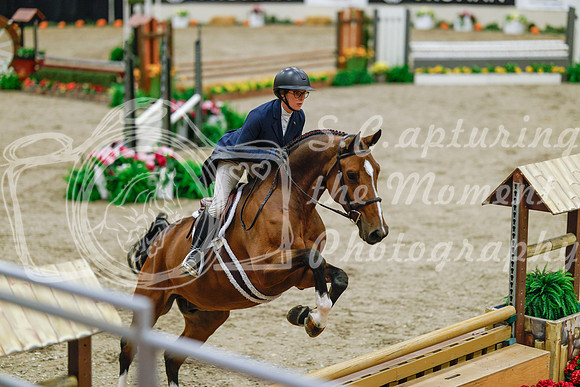 2025 - Haylee - Royal West - Monday October 20th - 04616