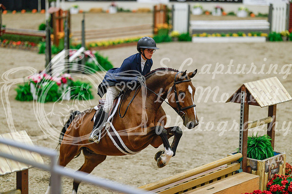 2025 - Haylee - Royal West - Monday October 20th - 04618