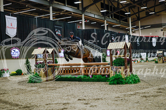 2025 - Haylee - Royal West - Monday October 20th - 02633