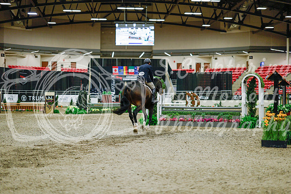 2025 - Haylee - Royal West - Monday October 20th - 01479