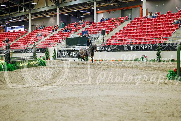 2025 - Haylee - Royal West - Monday October 20th - 01498