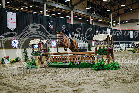2025 - Haylee - Royal West - Monday October 20th - 03190