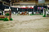 2025 - Haylee - Royal West - Monday October 20th - 01175