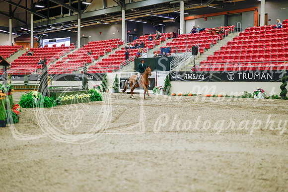 2025 - Haylee - Royal West - Monday October 20th - 01183