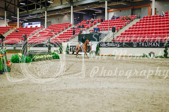 2025 - Haylee - Royal West - Monday October 20th - 01184