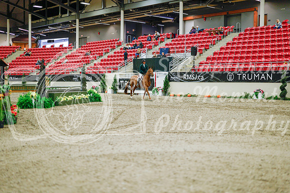 2025 - Haylee - Royal West - Monday October 20th - 01185