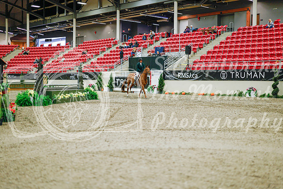 2025 - Haylee - Royal West - Monday October 20th - 01186