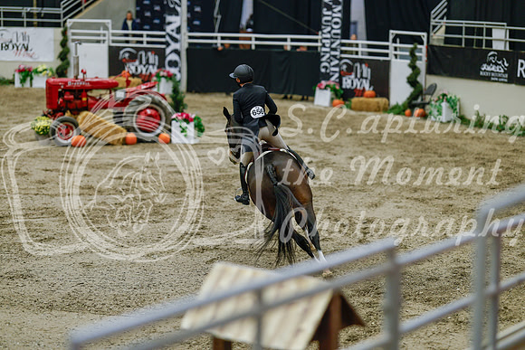 2025 - Haylee - Royal West - Monday October 20th - 06482