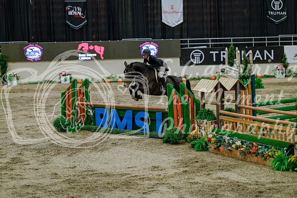 2025 - Haylee - Royal West - Monday October 20th - 06488