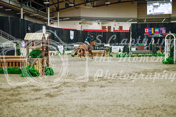 2025 - Haylee - Royal West - Monday October 20th - 01201