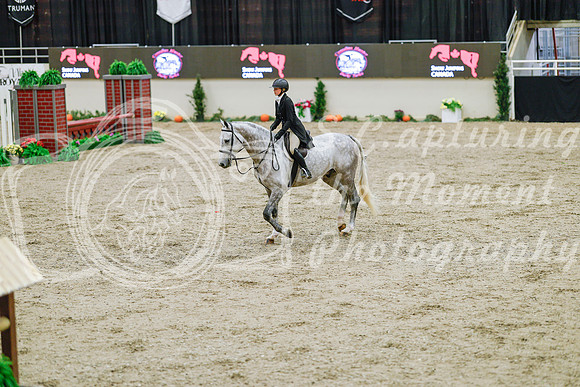 2025 - Haylee - Royal West - Monday October 20th - 04666