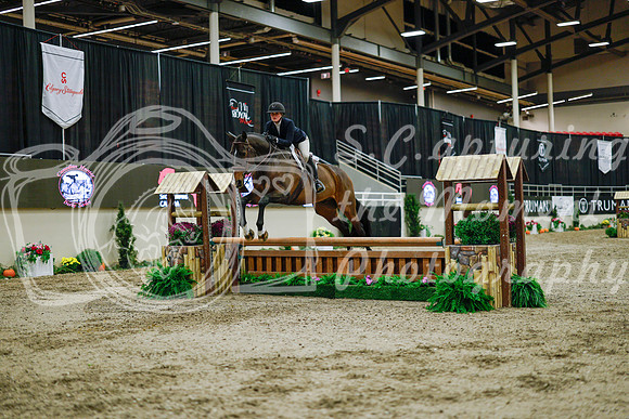2025 - Haylee - Royal West - Monday October 20th - 01154