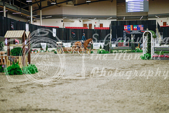 2025 - Haylee - Royal West - Monday October 20th - 02920