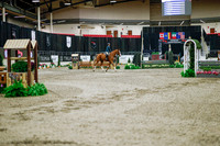 2025 - Haylee - Royal West - Monday October 20th - 02922
