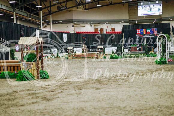 2025 - Haylee - Royal West - Monday October 20th - 01244