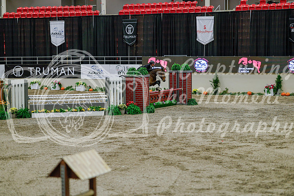 2025 - Haylee - Royal West - Monday October 20th - 06506