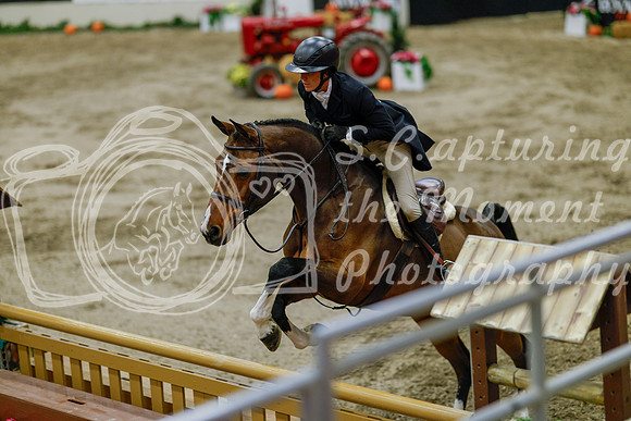 2025 - Haylee - Royal West - Monday October 20th - 06518