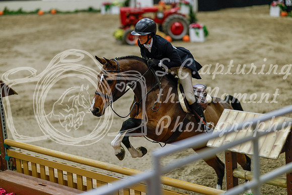 2025 - Haylee - Royal West - Monday October 20th - 06519