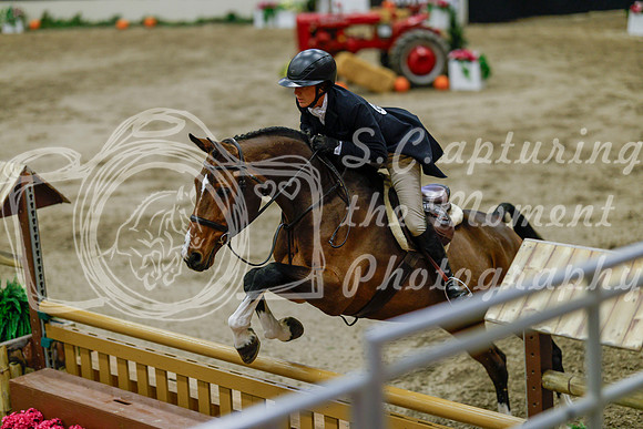 2025 - Haylee - Royal West - Monday October 20th - 06521