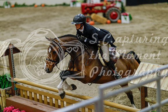 2025 - Haylee - Royal West - Monday October 20th - 06522