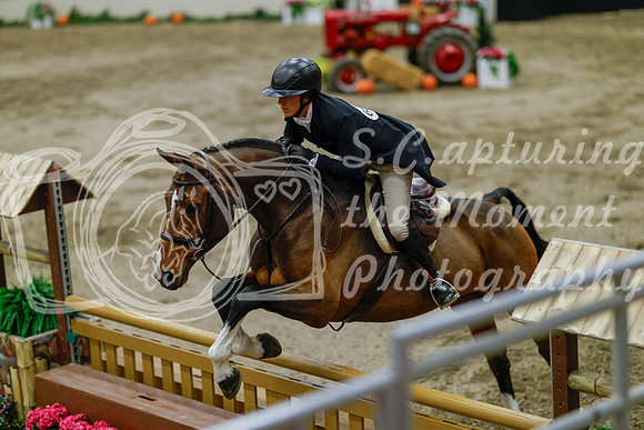 2025 - Haylee - Royal West - Monday October 20th - 06523
