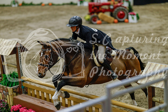 2025 - Haylee - Royal West - Monday October 20th - 06524