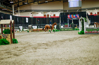 2025 - Haylee - Royal West - Monday October 20th - 01276