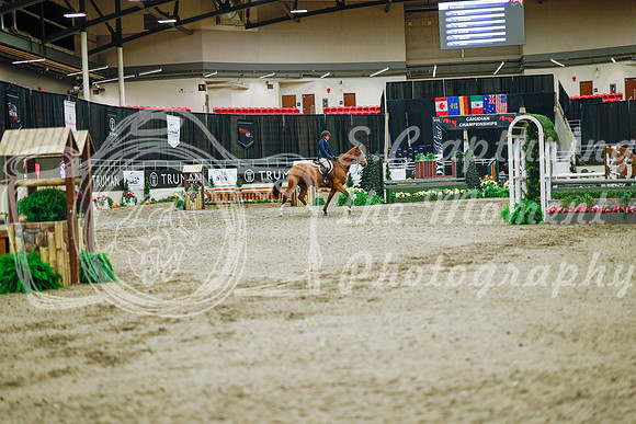 2025 - Haylee - Royal West - Monday October 20th - 01276