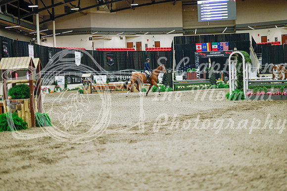 2025 - Haylee - Royal West - Monday October 20th - 01277