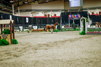 2025 - Haylee - Royal West - Monday October 20th - 01278
