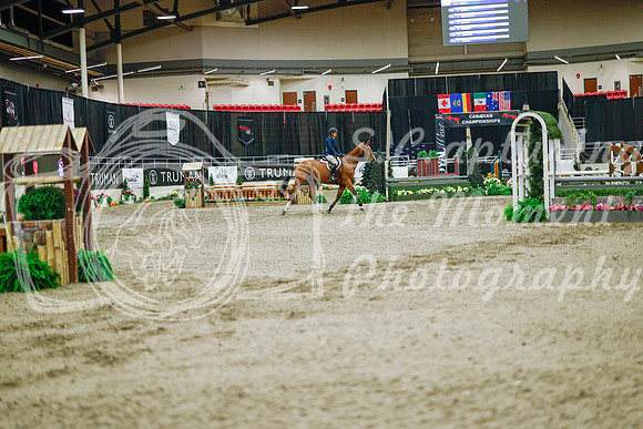 2025 - Haylee - Royal West - Monday October 20th - 01278