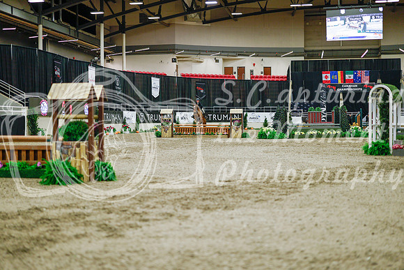 2025 - Haylee - Royal West - Monday October 20th - 01594